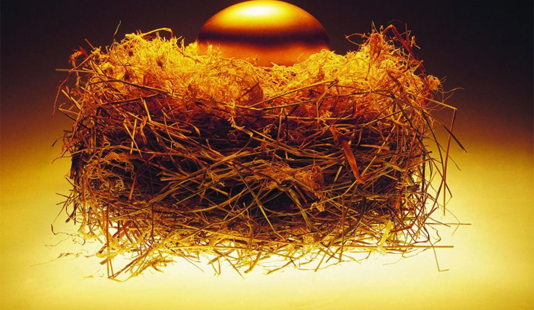 Nest with the golden egg