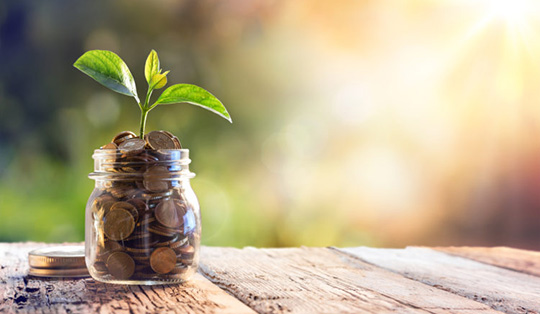 Jar with a coins inside and a plant