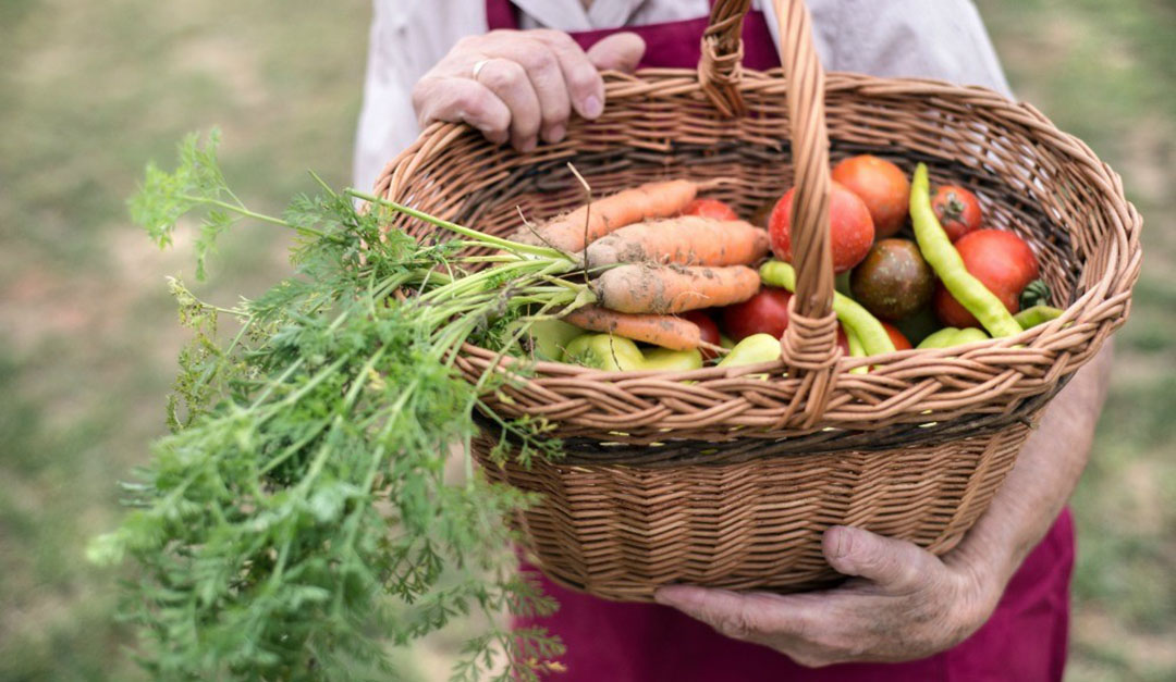 vegetables in the basket