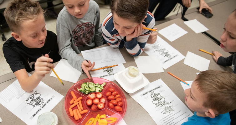 Students learning about nutrition