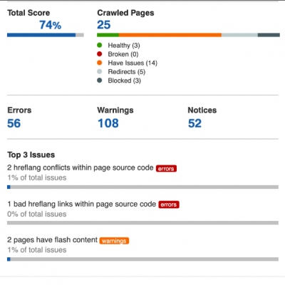 Audit Report