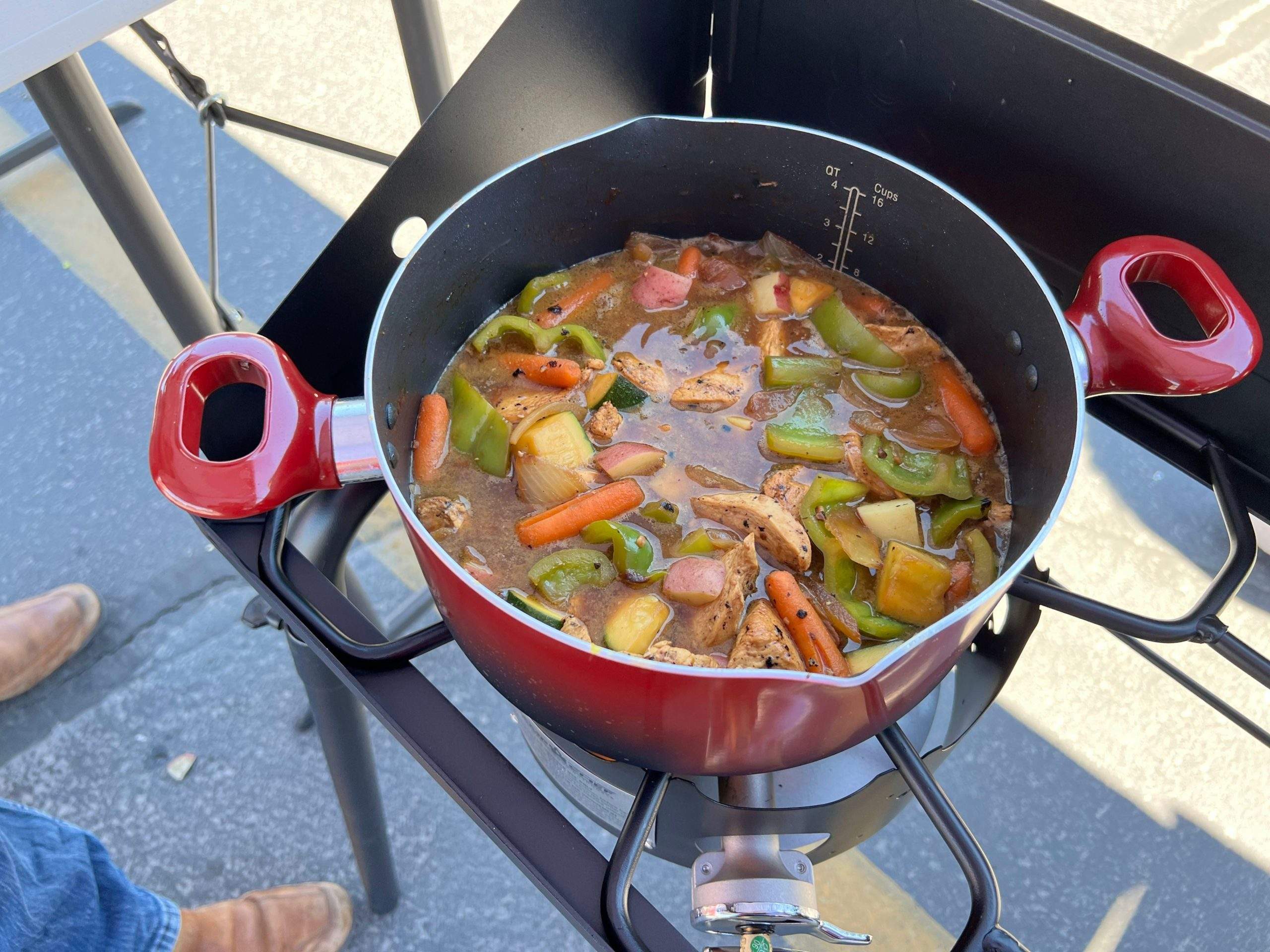 Chicken curry with vegetables